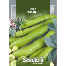 Бобы Касйер 10 шт от Профессиональных Семян