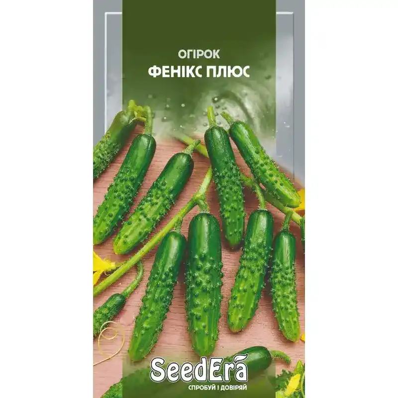Огурец Феникс Плюс от Профессиональных Семян