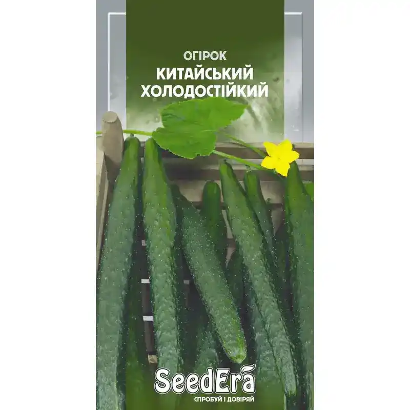 Огурец Китайский холодостойкий 10 шт от Профессиональных Семян