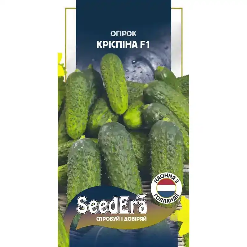Огурец Криспина f1 Profi 10 шт от Профессиональных Семян