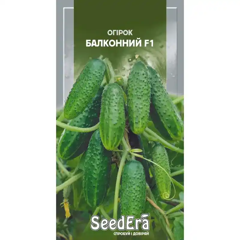 Огурец Балконный f1 10 шт от Профессиональных Семян