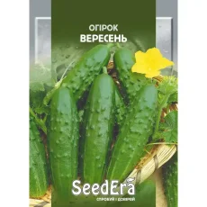 Огурец Вересень 10 г от Профессиональных Семян