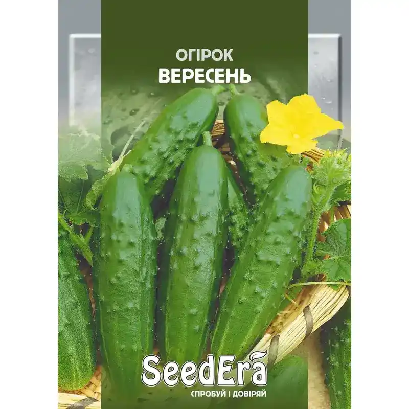Огурец Вересень 10 г от Профессиональных Семян