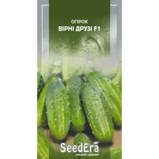Огурец Верные друзья f1 Seedeera 10 шт от Профессиональных Семян