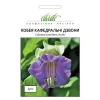 Кобея Кафедральные колокола фиолетовый от Профессиональных Семян