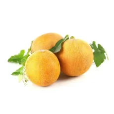Дыня Колхозница от Профессиональных Семян