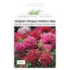 Гвоздика Пиноккио, 0,2 г, смесь от Профессиональных Семян