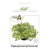 Кориандр комнатный от Профессиональных Семян