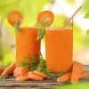 Морковь для сока от Профессиональных Семян