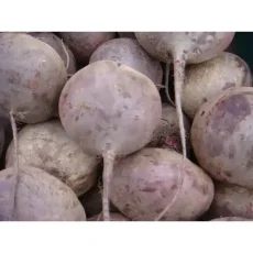 Свёкла столовая Нобол от Профессиональных Семян