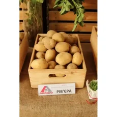 Картофель Ривьера от Профессиональных Семян