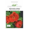 Абутилон, 0,2 г, смесь от Профессиональных Семян
