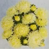 Астра Дрэгон, 1 г, желтый от Профессиональных Семян