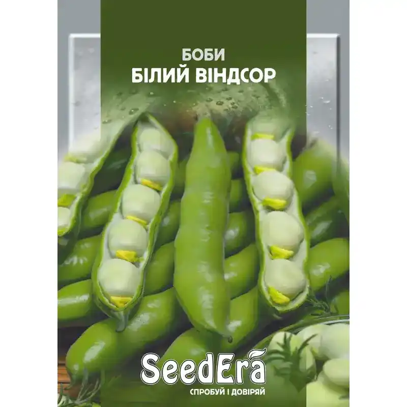 Бобы Белый Виндсор от Профессиональных Семян