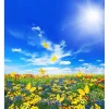 Цветочная смесь Цветочная мозаика 30 г / 50 м2 от Профессиональных Семян