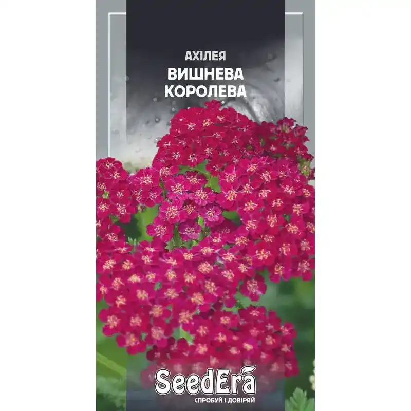 Ахиллея Вишневая Королева 0,1 г от Профессиональных Семян
