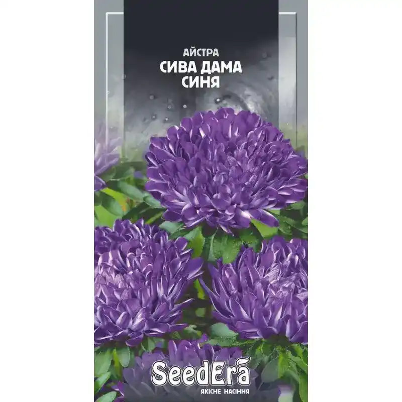 Астра Сива Дама синяя 0,25 г от Профессиональных Семян