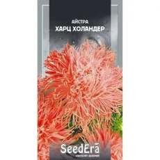 Астра Харц Холандер 0,25 г от Профессиональных Семян