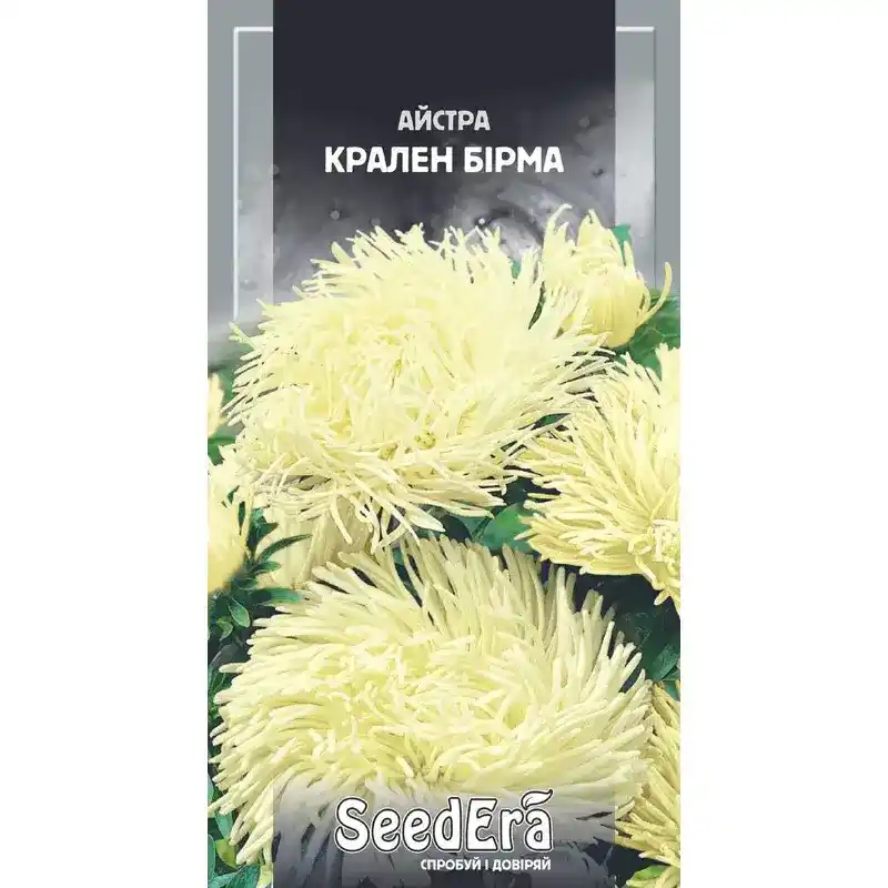 Астра Крален Бирма 0,25 г от Профессиональных Семян