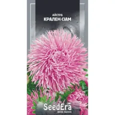 Астра Крален Сиам 0,25 г от Профессиональных Семян