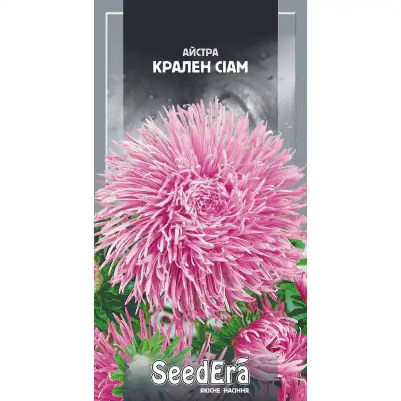 Астра Крален Сиам 0,25 г от Профессиональных Семян