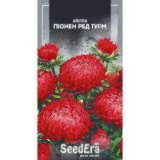 Астра Пионен Ред Турм 0,25 г от Профессиональных Семян