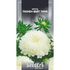 Астра Пионен Уайт Турм 0,25 г от Профессиональных Семян