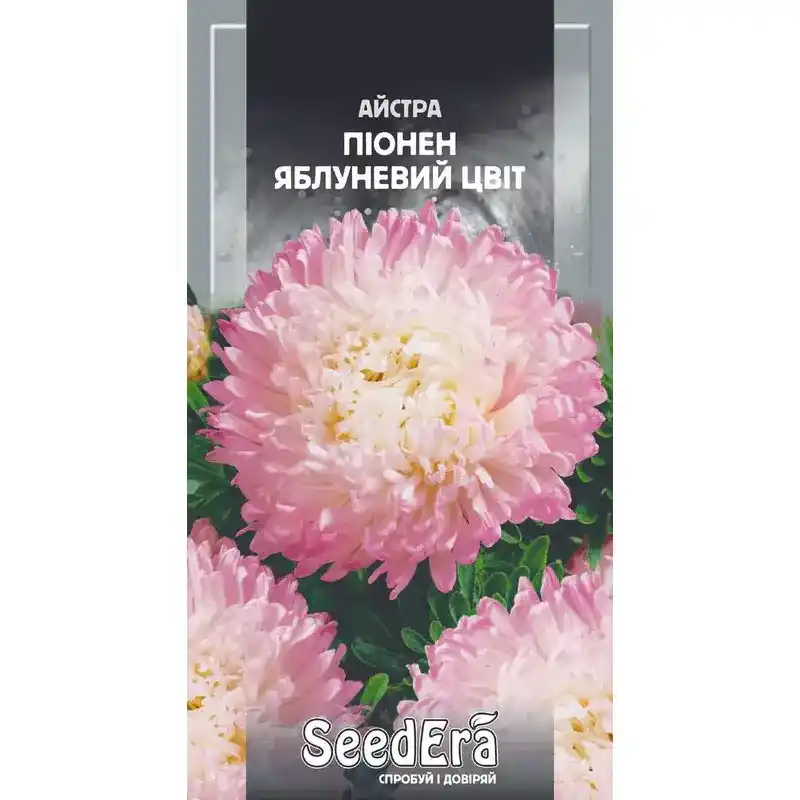 Астра Пионен Яблочный цветок 0,25 г от Профессиональных Семян