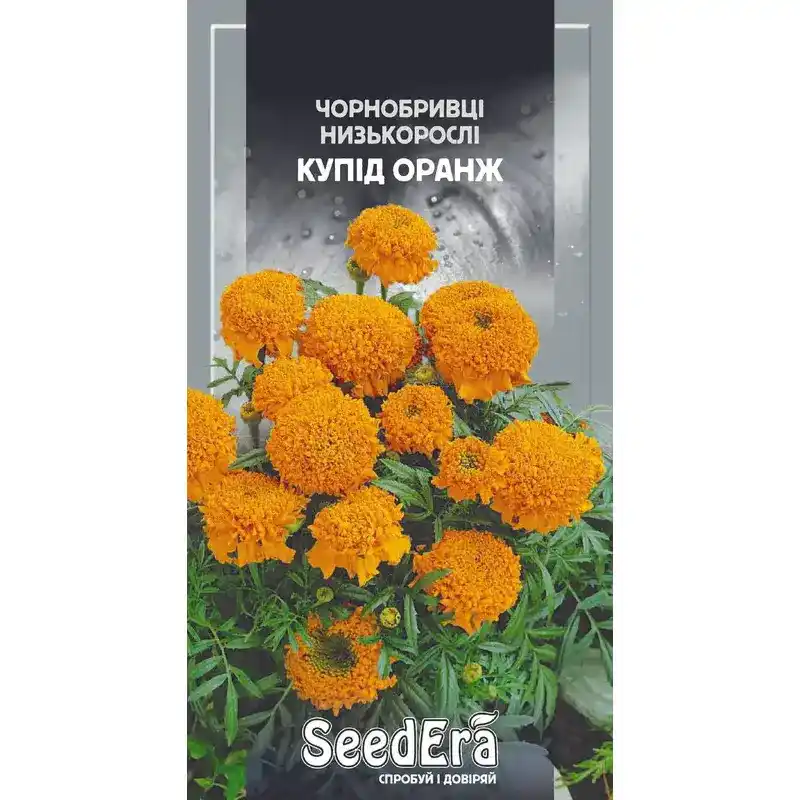 Бархатцы Купид оранж 0,5 г от Профессиональных Семян