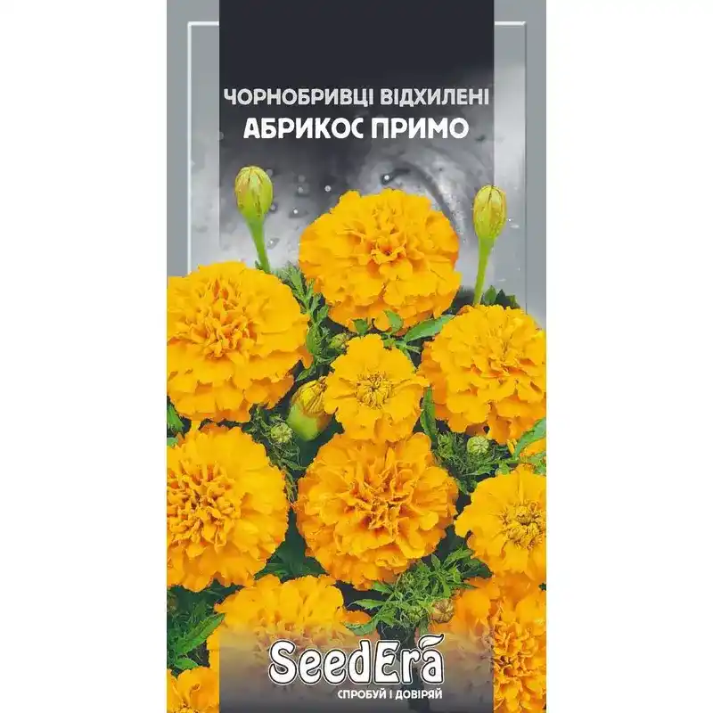 Бархатцы Абрикос Примо 0,5 г от Профессиональных Семян