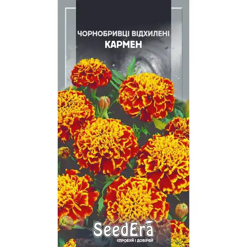 Бархатцы Кармен 0,5 г от Профессиональных Семян