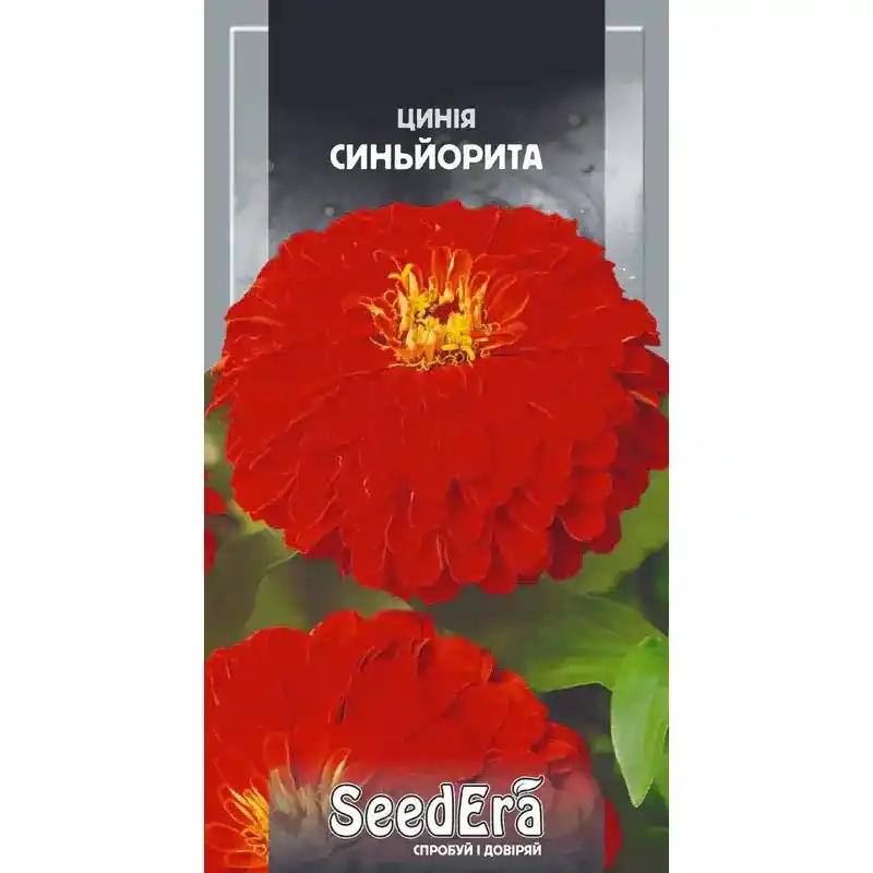 Цинния Синьорита 0.5 г от Профессиональных Семян