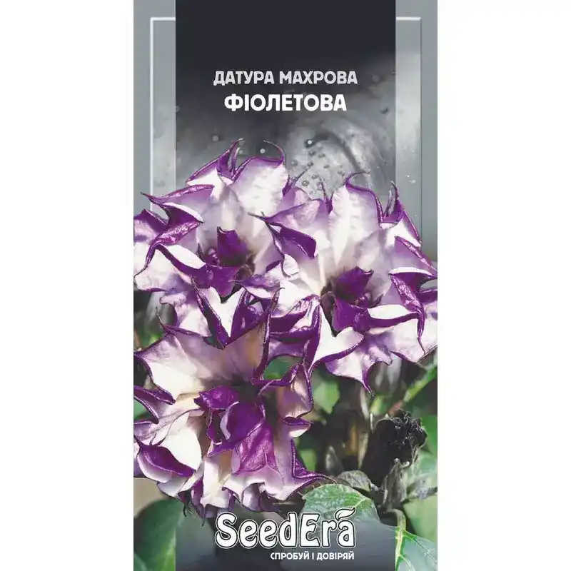 Датура махровая фиолетовая 5 шт. от Профессиональных Семян