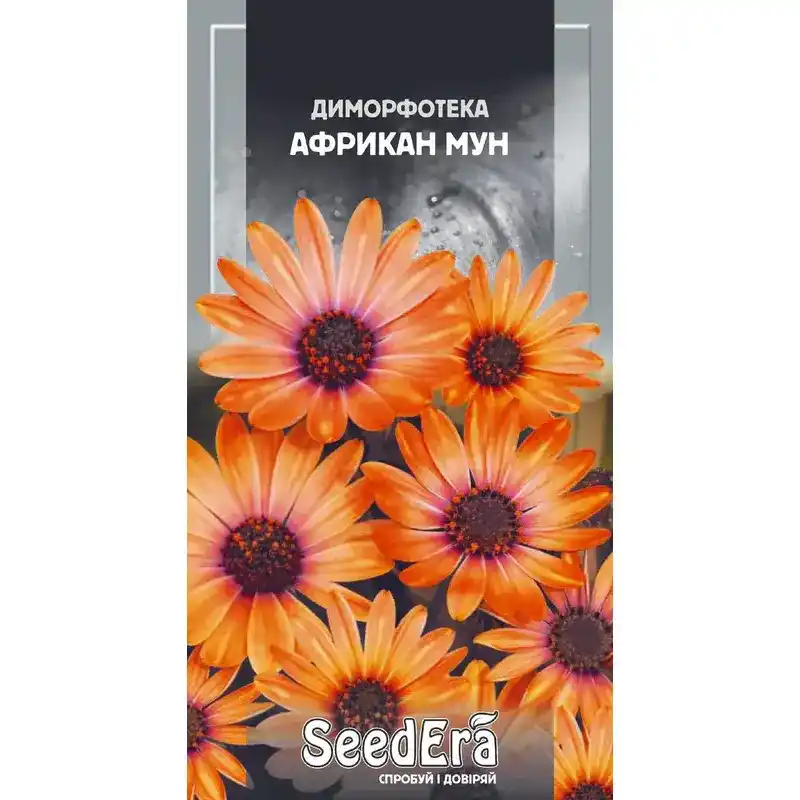 Диморфотека Африкан Мун 0,2 г от Профессиональных Семян