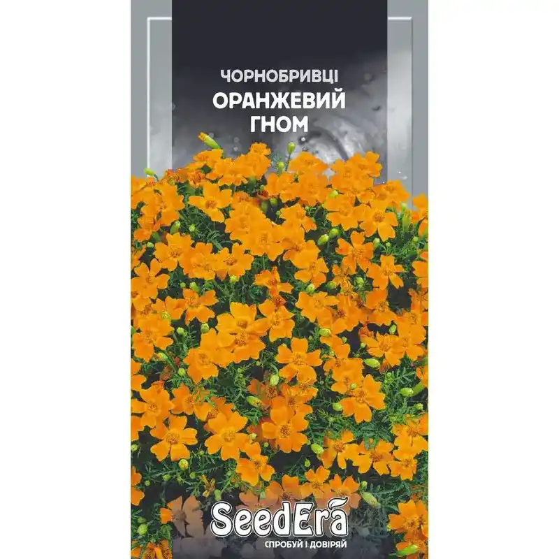Физостегия виргинская белая 0,1 г от Профессиональных Семян