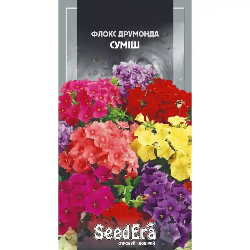 Флокс Друмонда смесь 0,2 г от Профессиональных Семян