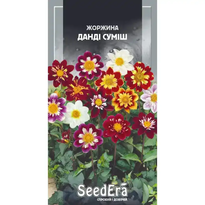 Георгина Данди смесь 0,5 г от Профессиональных Семян