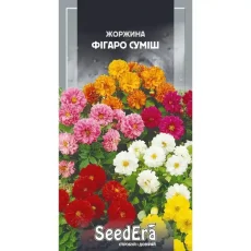 Георгина Фигаро смесь 0,5 г от Профессиональных Семян