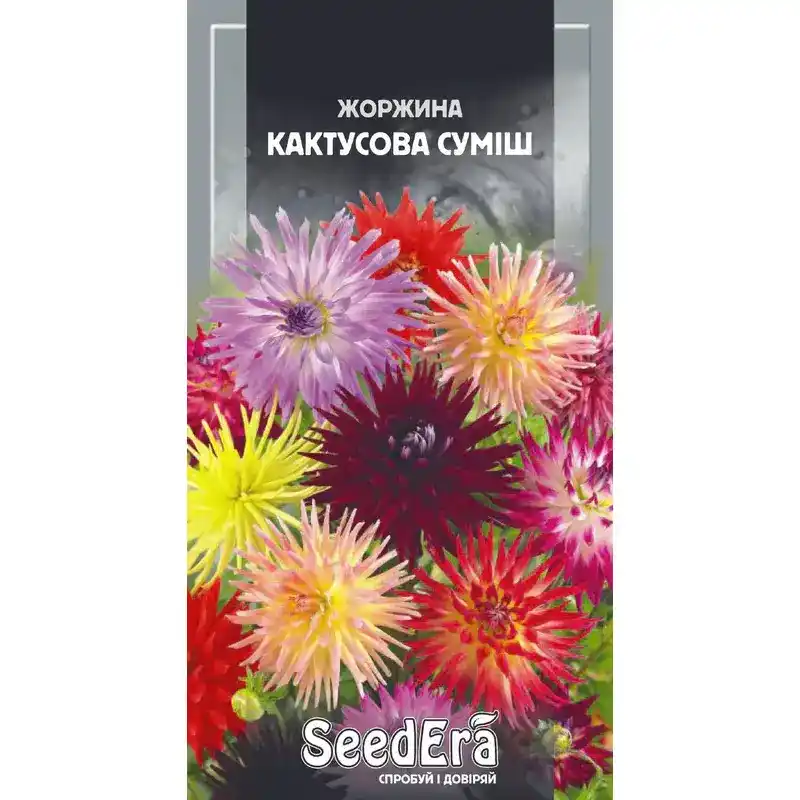 Георгина Кактусовая смесь 0,3 г от Профессиональных Семян