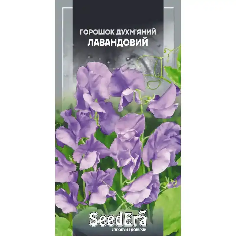 Горошек душистый лавандовый 1 г от Профессиональных Семян
