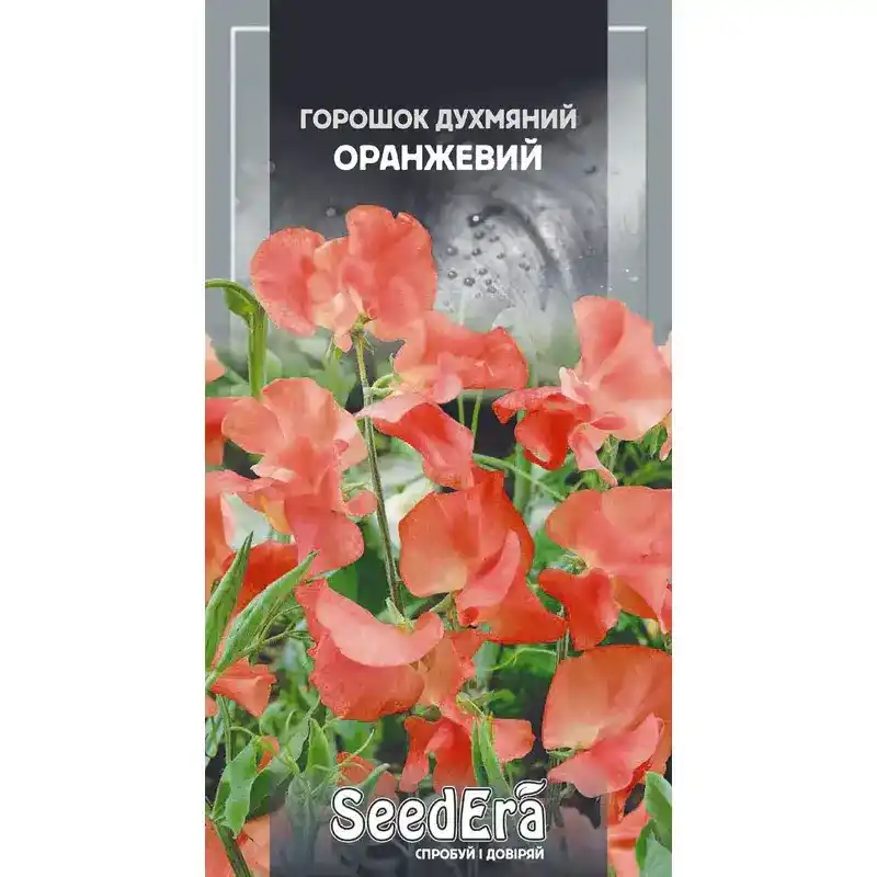 Горошек душистый оранжевый 1 г от Профессиональных Семян