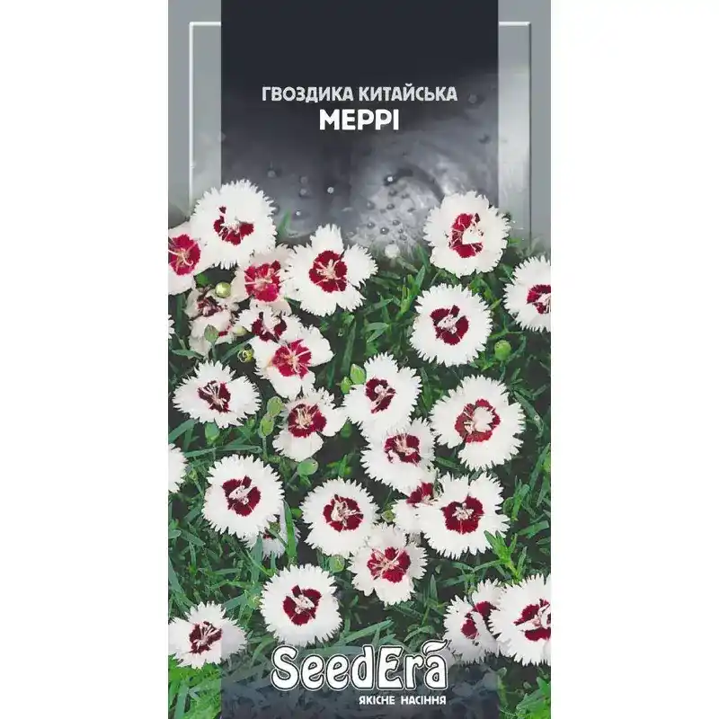 Гвоздика китайская Мерри 0,2 г от Профессиональных Семян