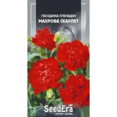 Гвоздика Гренадин махровая Скарлет 0,2 г от Профессиональных Семян