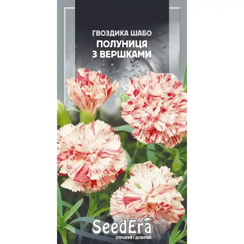 Гвоздика Шабо клубника со сливками 0,2 г от Профессиональных Семян