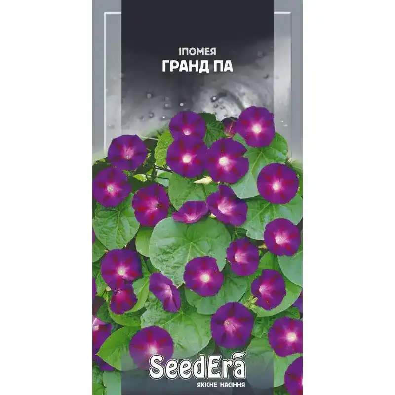 Ипомея фиолетовая Гранд Па 0,5 г от Профессиональных Семян