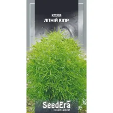 Кохия Летний Кипр 0,5 г от Профессиональных Семян