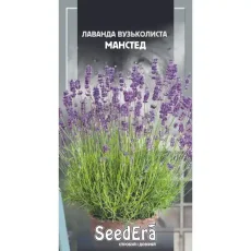 Лаванда английская Манстед 0,1 г от Профессиональных Семян