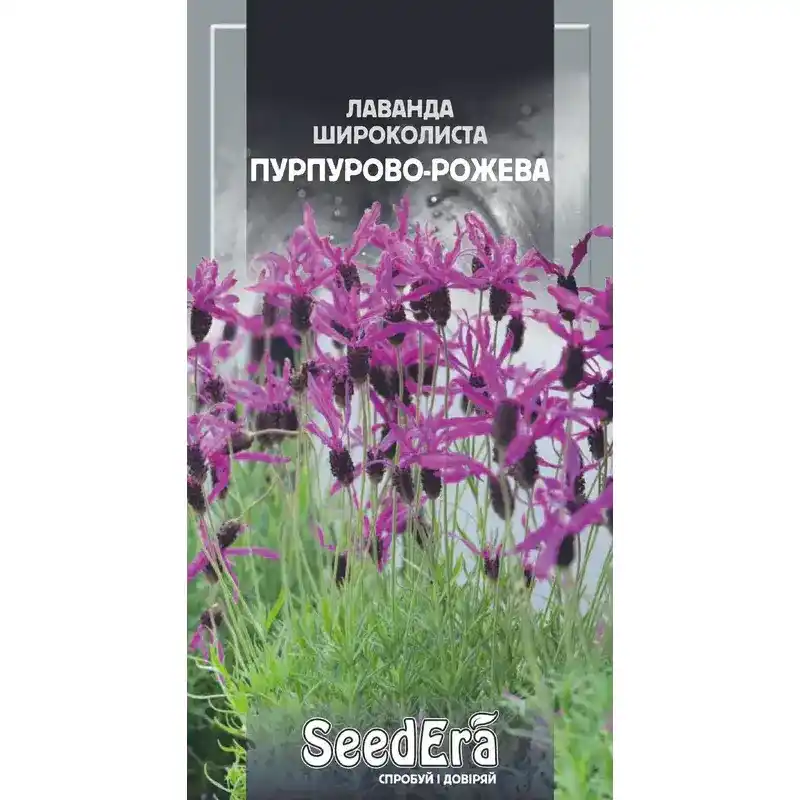 Лаванда французская Пурпурово-розовая 0,1 г от Профессиональных Семян