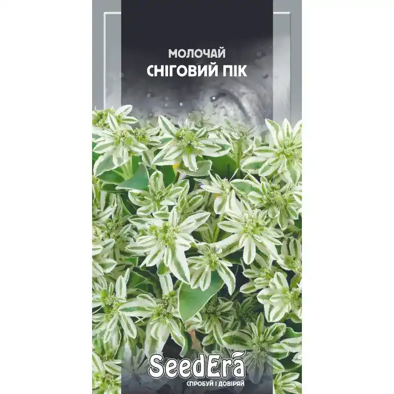Молочай Снежный пик 0,5 г от Профессиональных Семян