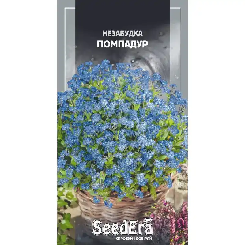 Незабудка садовая Помпадур 0,1 г от Профессиональных Семян